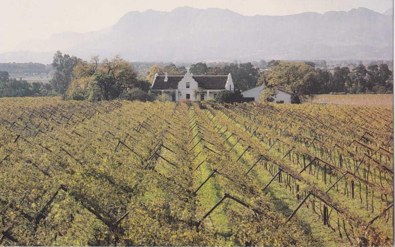 Autumn scene, Paarl
