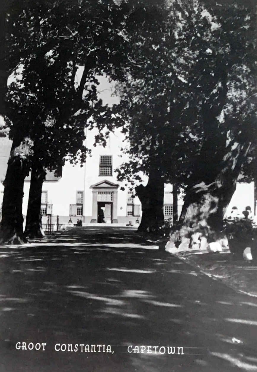 Groot Constantia Cape Town_