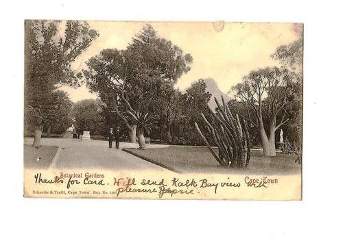 Cape Town Botanical Gardens 1904