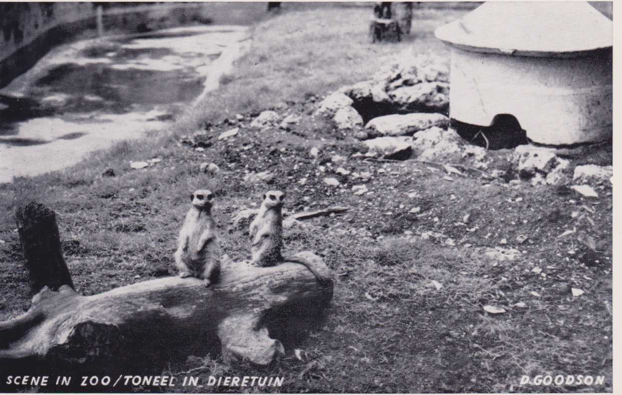 East London Zoo