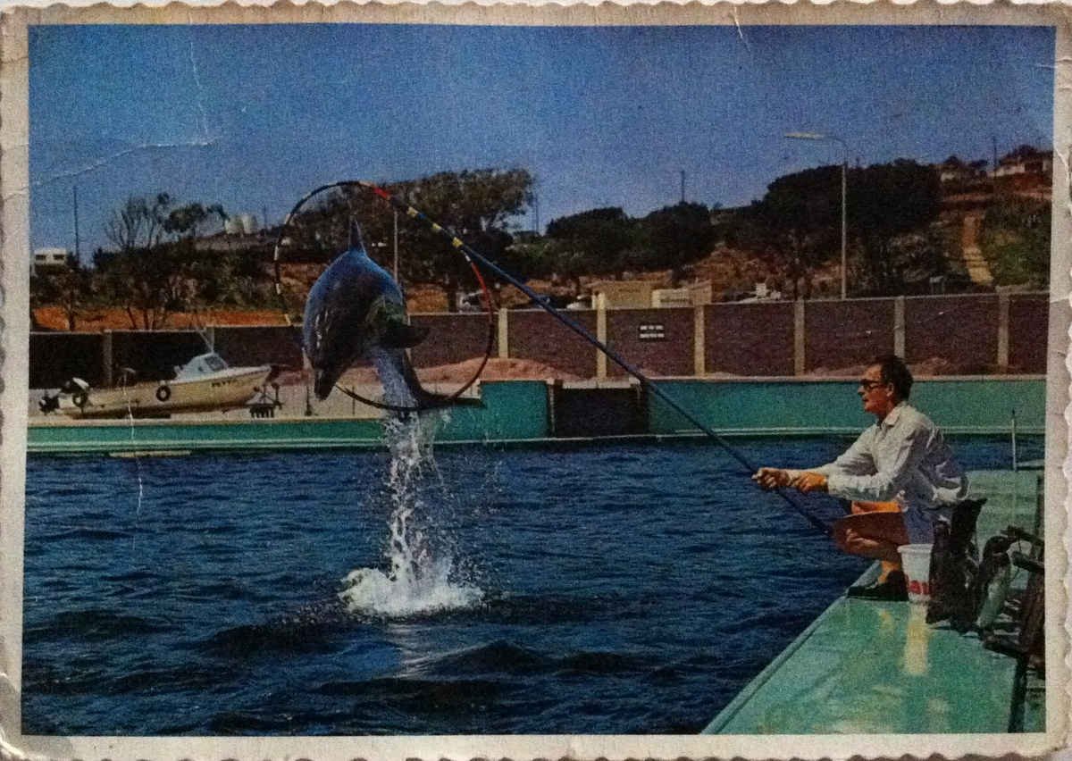 Port Elizabeth, Dolfyn in See-akwarium