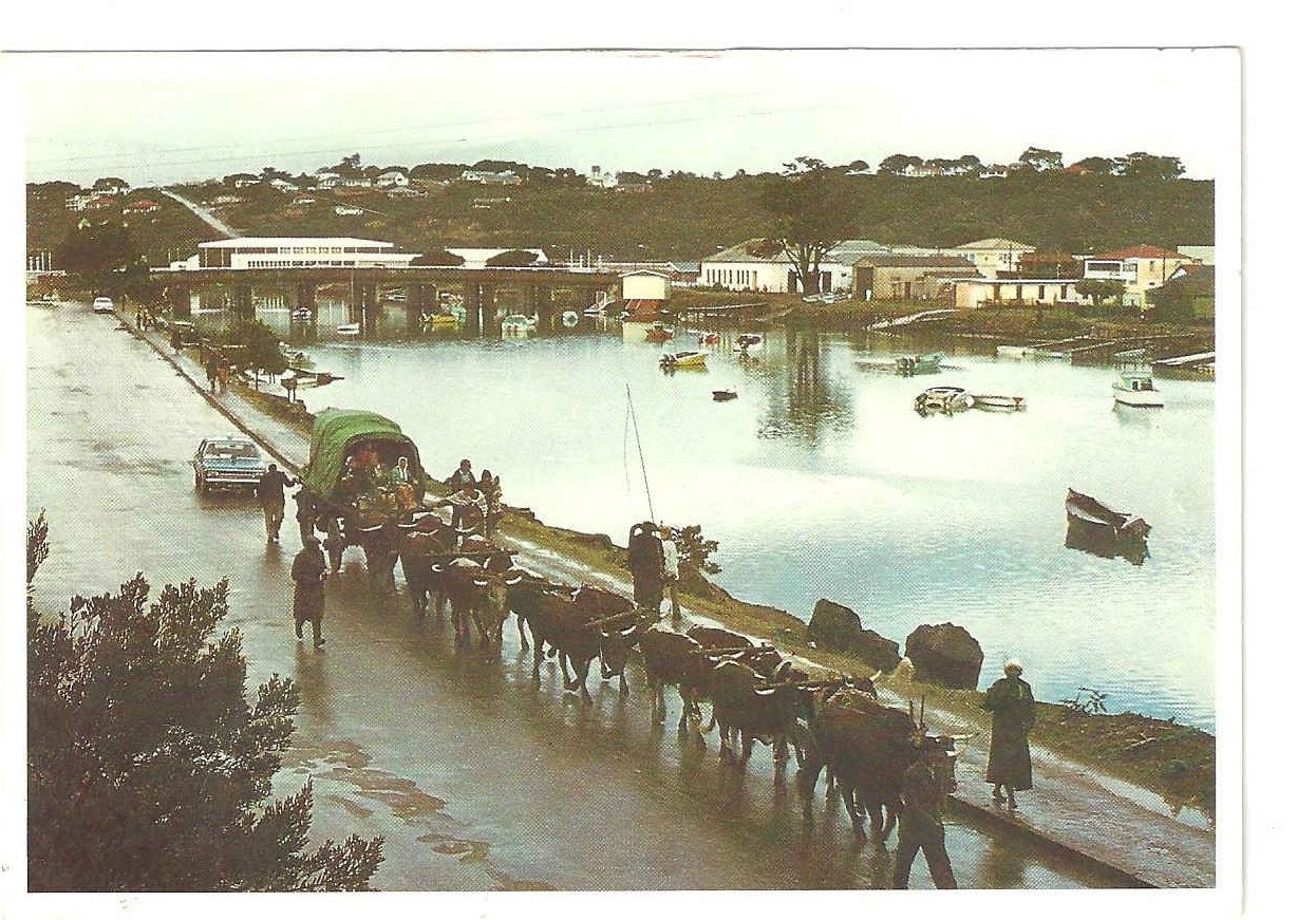 Port Alfred, Ox Wagon