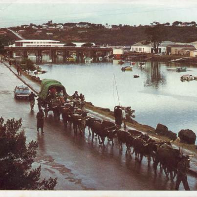 Ossewa Port Alfred