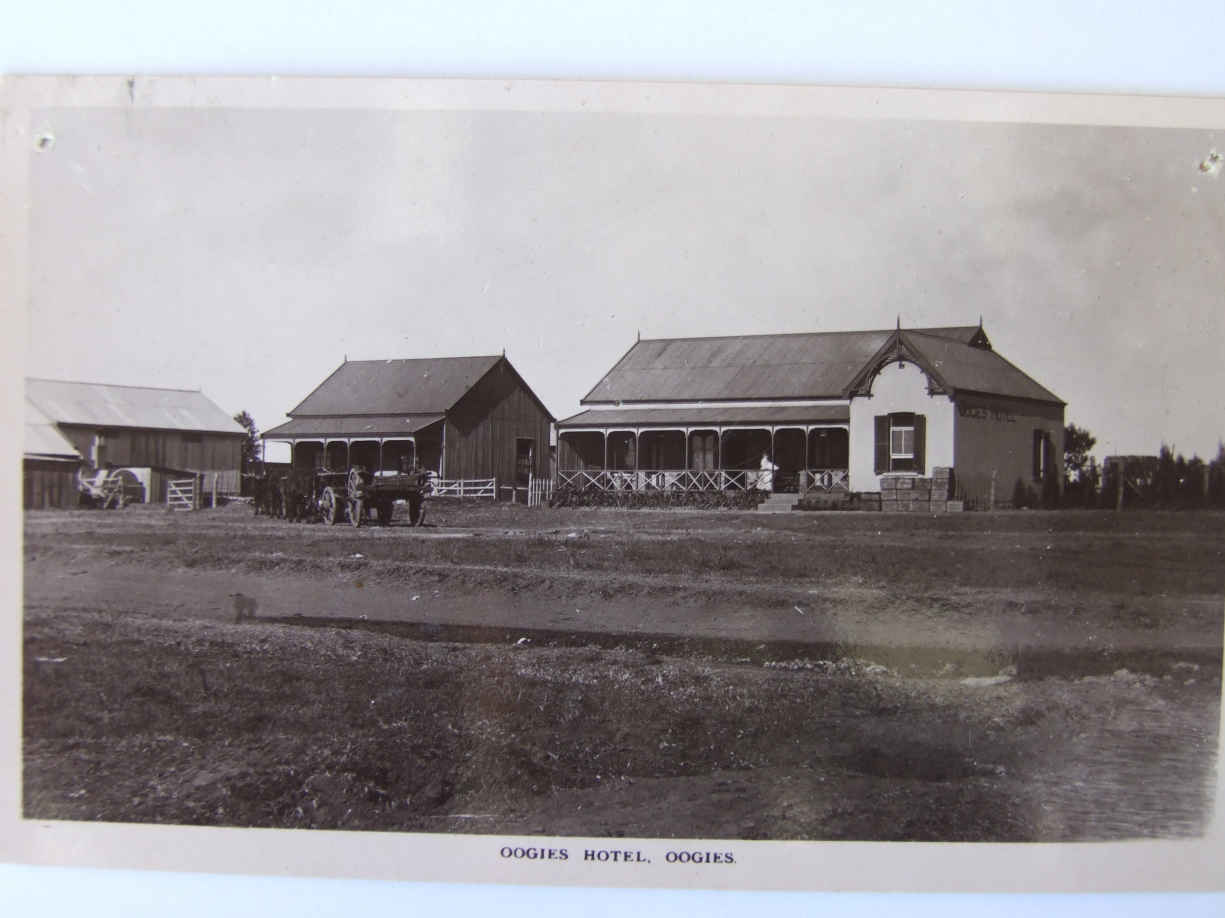 Oogies  Hotel