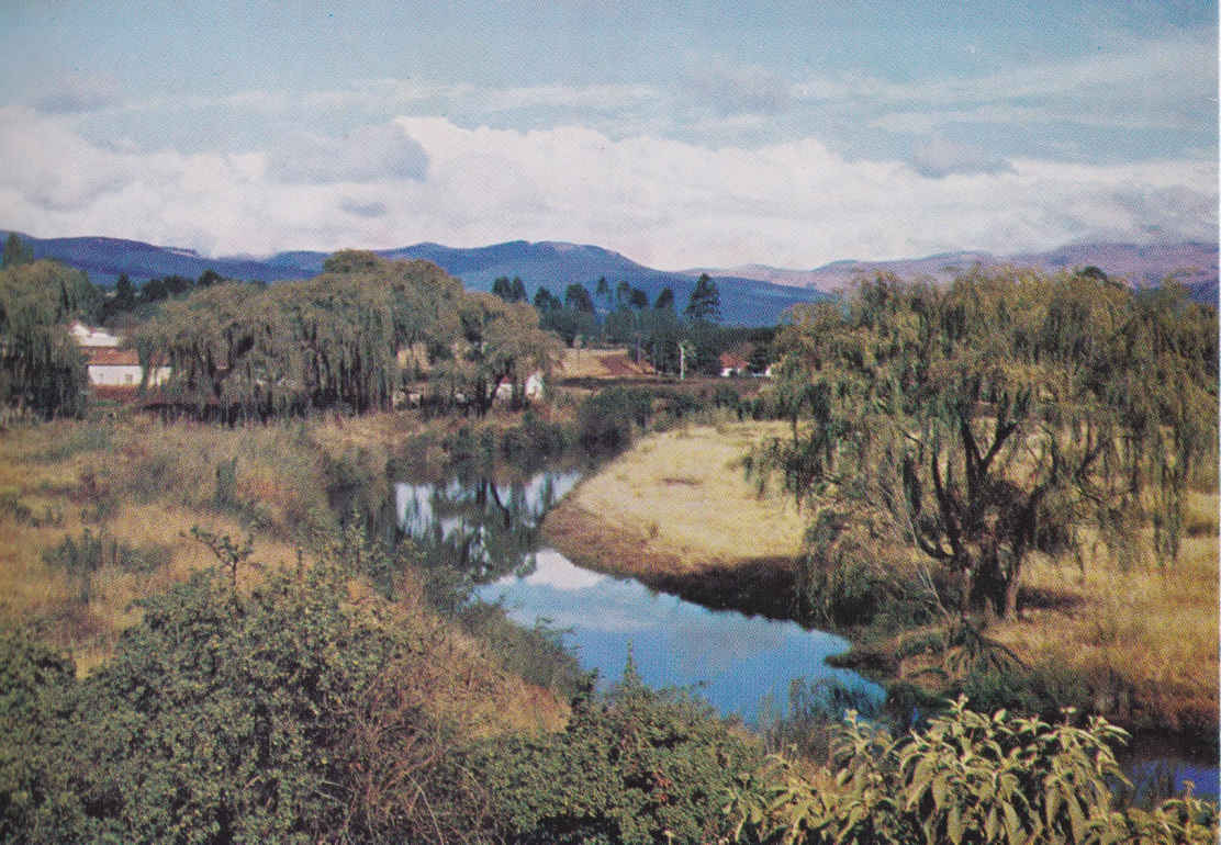 Near Sabie, Eastern Transvaal