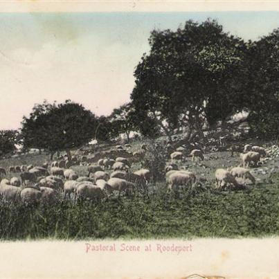 Roodepoort