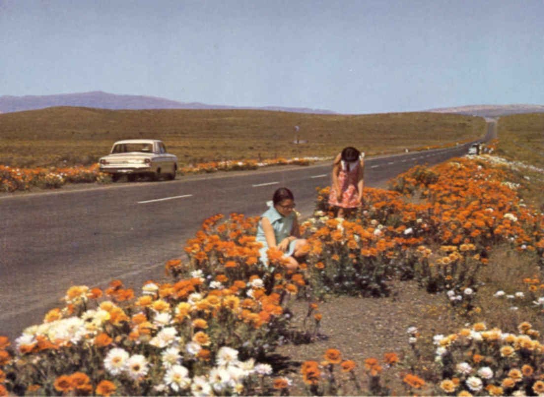 Karoo - Naby Beaufort-Wes