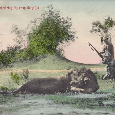 Hunting