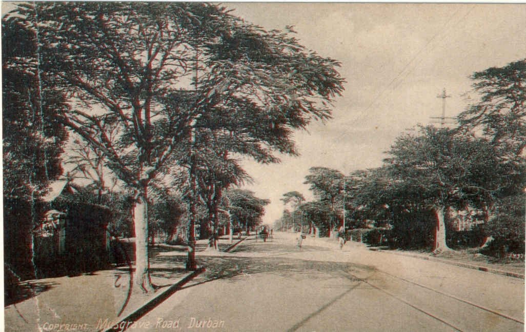 Durban Musgrave Road