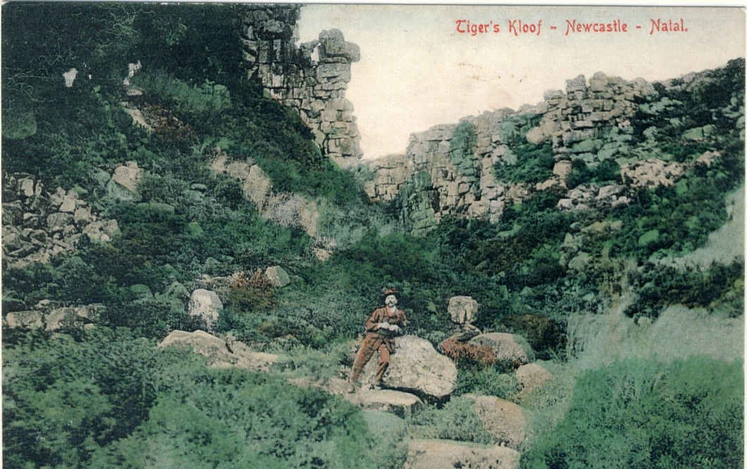 NEWCASTLE Tiger's Kloof