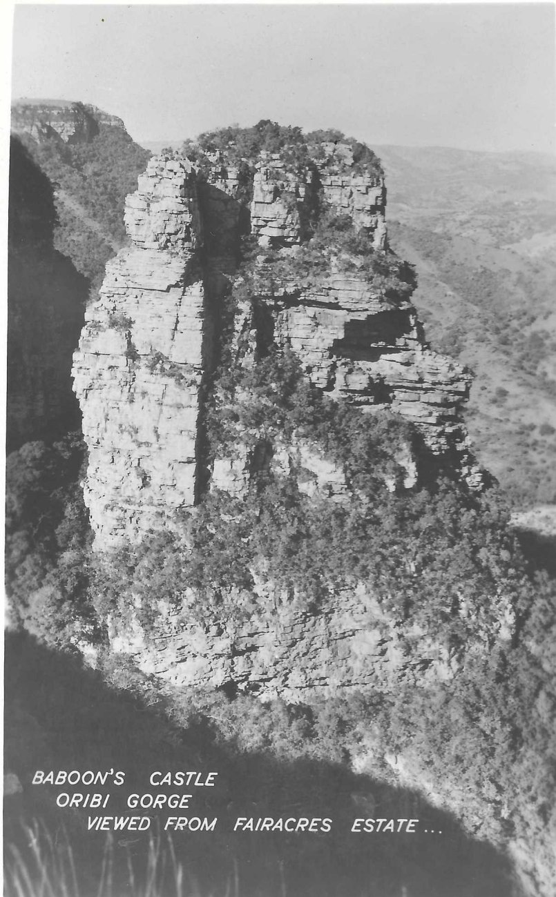 Oribi Gorge_Baboons Castle