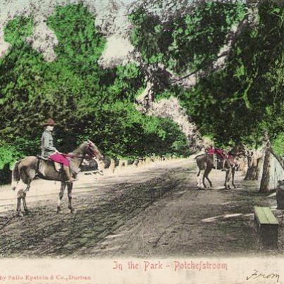 Potchefstroom In the Park