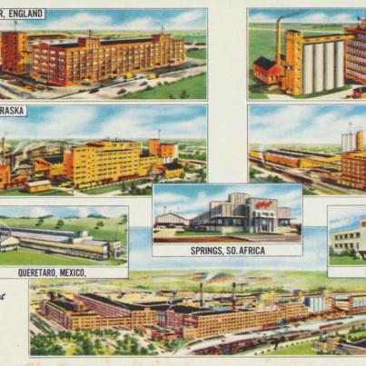 Kellogs Plants