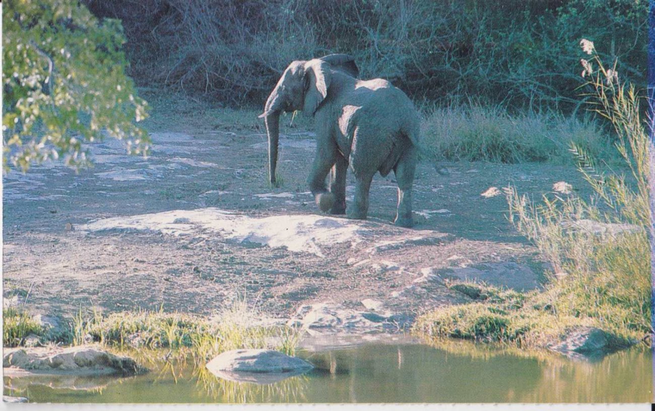 Kruger National Park