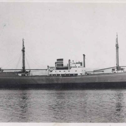 unidentified