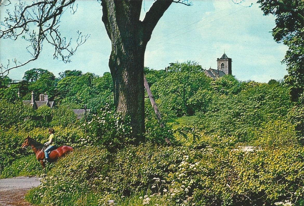 Leicestershire, Oaks in Charnwood