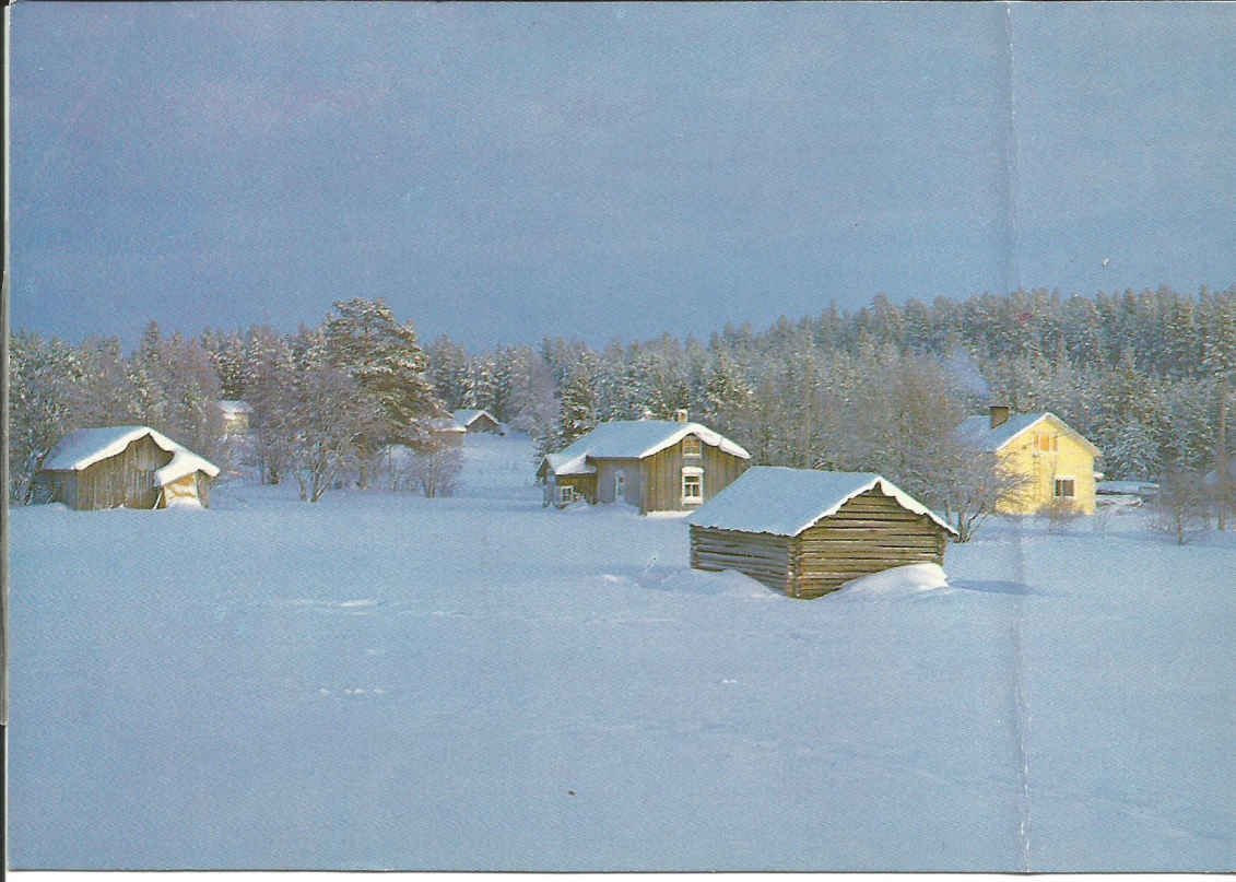 Winter in Finland