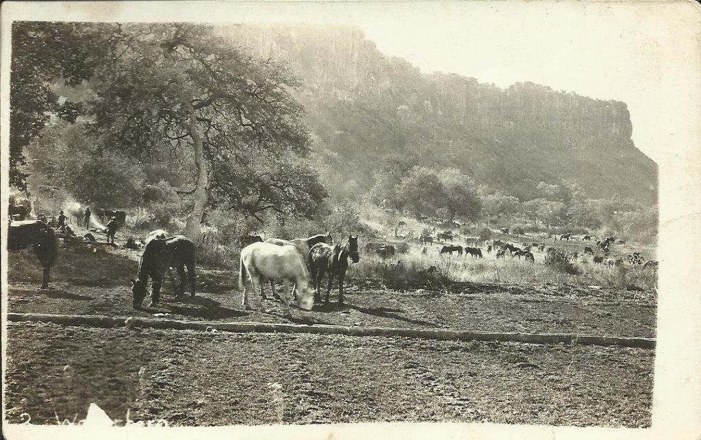 Waterberg6