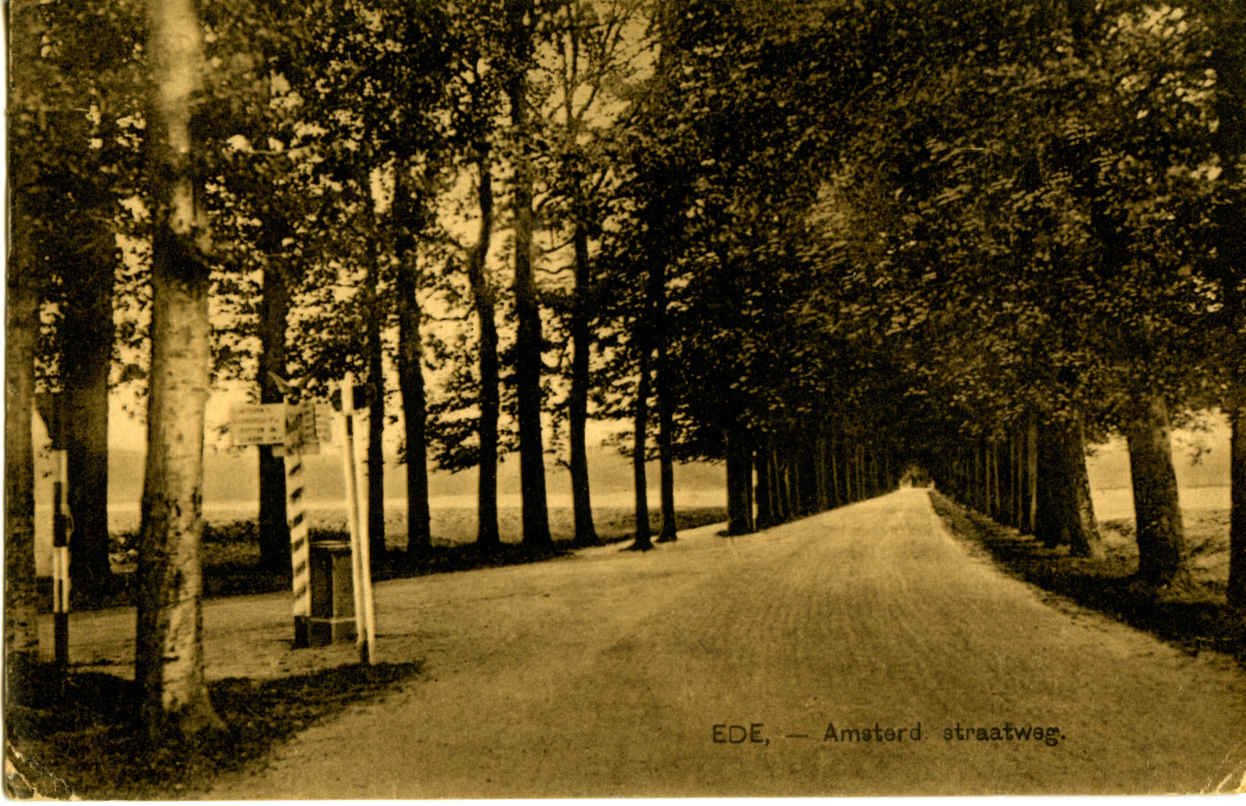 Ede