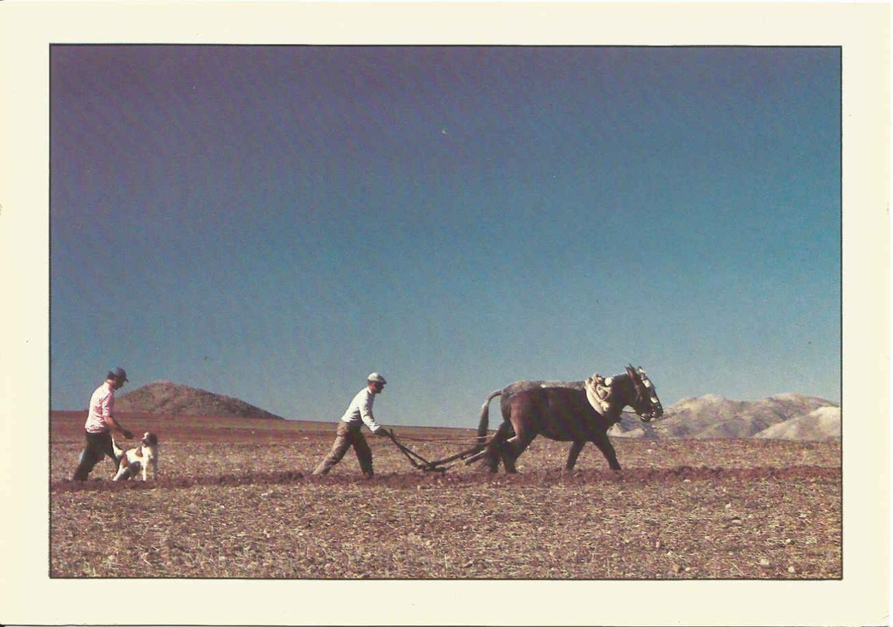 Spain_ Farming