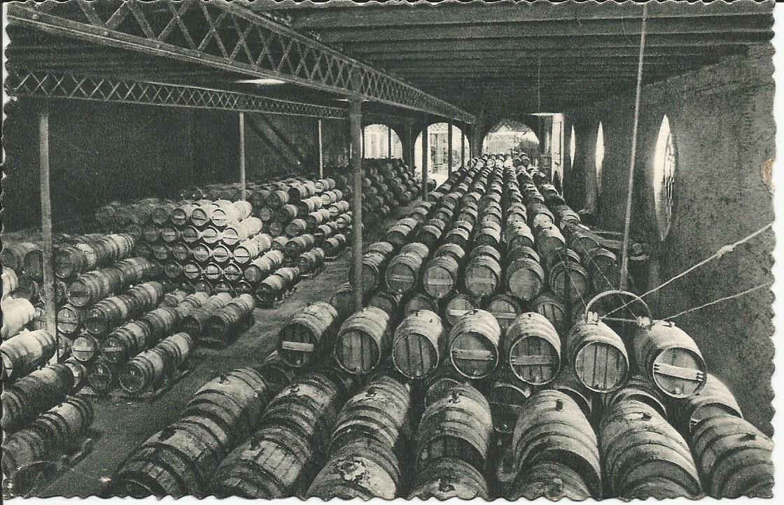 San Sadurni de Noya, Casa Codorniu (Wine Estate)_3