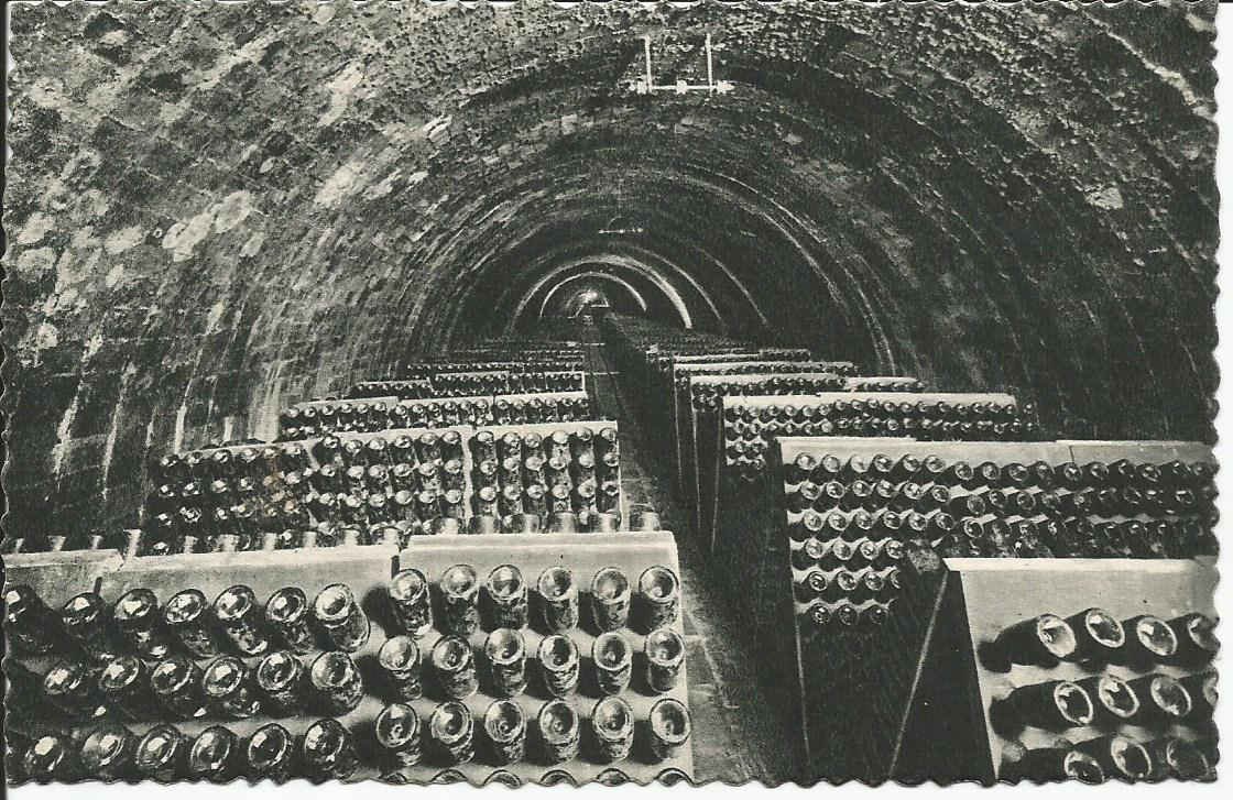 San Sadurni de Noya, Casa Codorniu (Wine Estate)_2