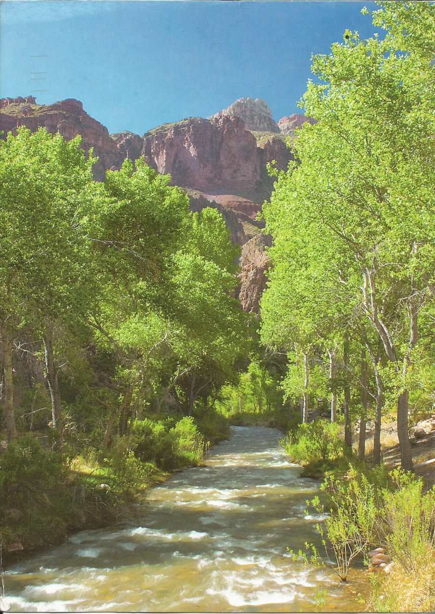 Grand Canyon National Park. Bright Angel Campground_1