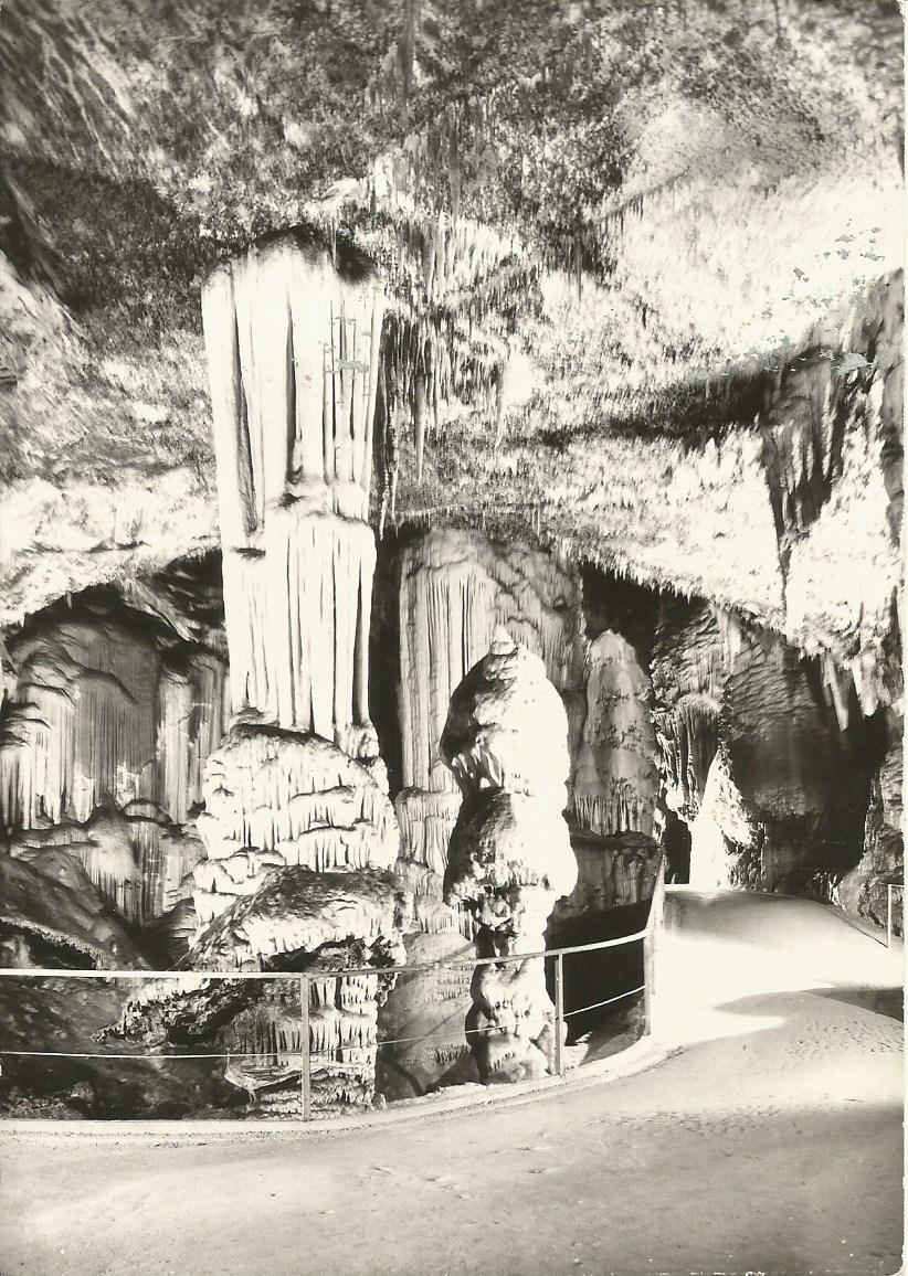 Slovenia, Postojnska Jama Cave